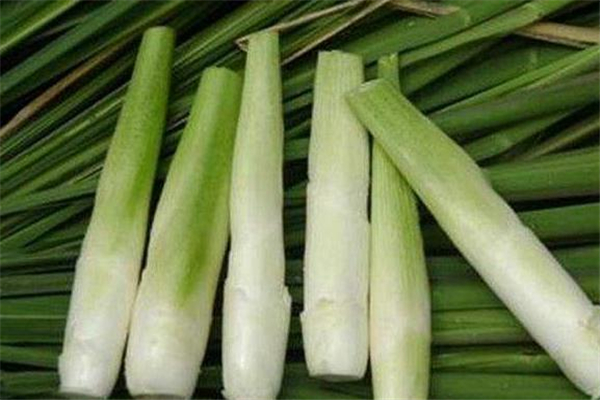 茭白熱量高嗎 茭白減肥期間可以吃嗎 茭白熱量高嗎 茭白減肥期間可以吃嗎