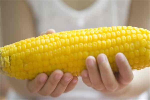 玉米有淀粉嗎 玉米有什么作用 玉米有淀粉嗎 玉米有什么作用