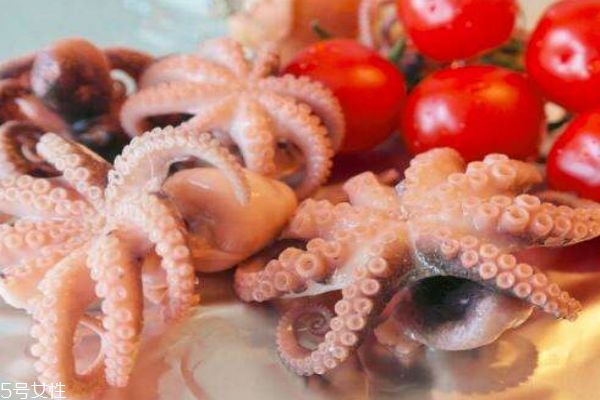 魷魚有什么營養(yǎng)價值呢 吃魷魚有什么好處呢 魷魚有什么營養(yǎng)價值呢 吃魷魚有什么好處呢