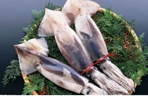 魷魚(yú)的價(jià)格是多少呢 魷魚(yú)怎么做好吃呢 魷魚(yú)的價(jià)格是多少呢 魷魚(yú)怎么做好吃呢