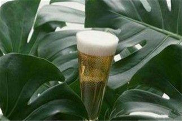 澆花可以用自來水嗎 澆花用什么水澆 澆花可以用自來水嗎 澆花用什么水澆