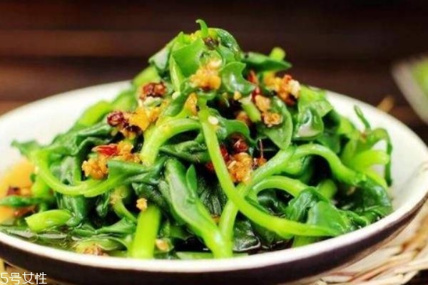 穿心蓮可以治療痘痘嗎 孕婦可以吃穿心蓮嗎 穿心蓮可以治療痘痘嗎 孕婦可以吃穿心蓮嗎