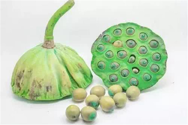 蓮子吃多了會(huì)拉肚子嗎 蓮子吃了會(huì)不會(huì)拉肚子 蓮子吃多了會(huì)拉肚子嗎 蓮子吃了會(huì)不會(huì)拉肚子