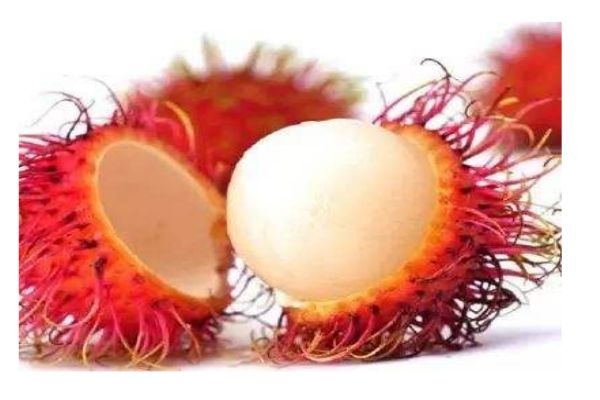 什么是紅毛丹呢 紅毛丹有什么營(yíng)養(yǎng)價(jià)值呢 什么是紅毛丹呢 紅毛丹有什么營(yíng)養(yǎng)價(jià)值呢