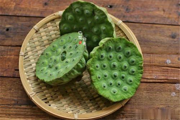 蓮子吃了會(huì)發(fā)胖嗎 蓮子吃多是會(huì)發(fā)胖的 蓮子吃了會(huì)發(fā)胖嗎 蓮子吃多是會(huì)發(fā)胖的