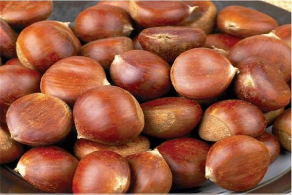 板栗是堅(jiān)果嗎 板栗屬于什么食物 板栗是堅(jiān)果嗎 板栗屬于什么食物
