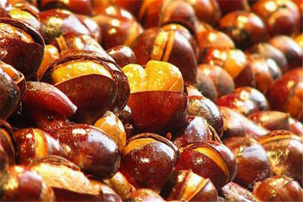 板栗有幾種 板栗怎么區(qū)分 板栗有幾種 板栗怎么區(qū)分