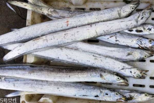 帶魚有什么營養(yǎng)價值呢 吃帶魚有什么好處呢 帶魚有什么營養(yǎng)價值呢 吃帶魚有什么好處呢