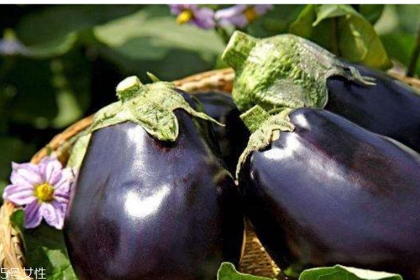 茄子有什么營養(yǎng)價值呢 吃茄子有什么好處呢 茄子有什么營養(yǎng)價值呢 吃茄子有什么好處呢