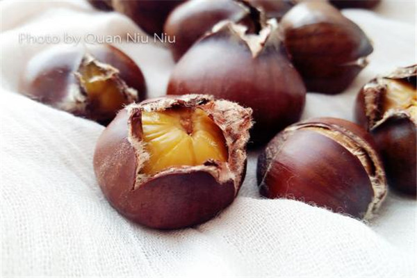 板栗沒熟透可以吃嗎 板栗最好是吃成熟的 板栗沒熟透可以吃嗎 板栗最好是吃成熟的