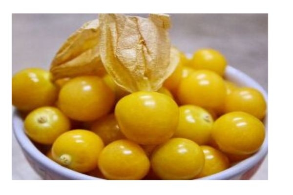 什么是姑娘果呢 姑娘果的營(yíng)養(yǎng)價(jià)值有什么呢 什么是姑娘果呢 姑娘果的營(yíng)養(yǎng)價(jià)值有什么呢