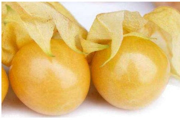 孕婦可以吃姑娘果嗎 孕婦吃姑娘果有什么作用呢 孕婦可以吃姑娘果嗎 孕婦吃姑娘果有什么作用呢