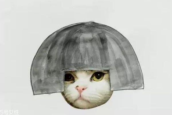 臉大應(yīng)該留直劉海還是斜劉海呢 應(yīng)不應(yīng)該留劉海呢 臉大應(yīng)該留直劉海還是斜劉海呢 應(yīng)不應(yīng)該留劉海呢