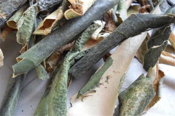 冬瓜皮是中藥嗎 冬瓜皮有什么好處 冬瓜皮是中藥嗎 冬瓜皮有什么好處