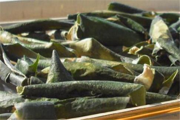 吃冬瓜會過敏嗎 冬瓜吃了會不會過敏 吃冬瓜會過敏嗎 冬瓜吃了會不會過敏