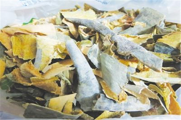 冬瓜的熱量高嗎 冬瓜的熱量是多少 冬瓜的熱量高嗎 冬瓜的熱量是多少