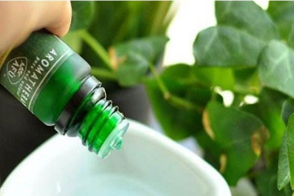 阿芙是一個(gè)怎么樣的牌子呢 阿芙是哪個(gè)國(guó)家的呢 阿芙是一個(gè)怎么樣的牌子呢 阿芙是哪個(gè)國(guó)家的呢