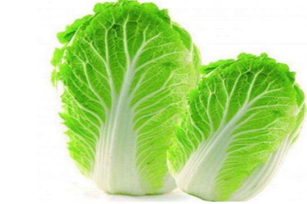 大白菜的品種有什么呢 什么人群不能吃大白菜呢 大白菜的品種有什么呢 什么人群不能吃大白菜呢