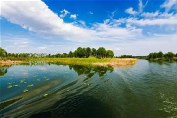 減肥吃了火鍋怎么補(bǔ)救 減肥絕不要吃火鍋 減肥吃了火鍋怎么補(bǔ)救 減肥絕不要吃火鍋