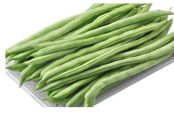 四季豆的營養(yǎng)價值有什么呢 吃四季豆有什么好處呢 四季豆的營養(yǎng)價值有什么呢 吃四季豆有什么好處呢