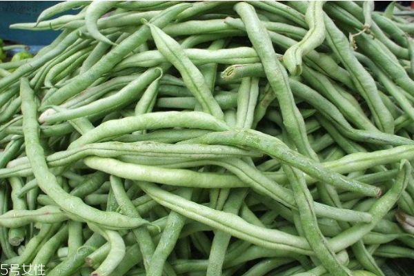 四季豆的營養(yǎng)價值有什么呢 吃四季豆有什么好處呢 四季豆的營養(yǎng)價值有什么呢 吃四季豆有什么好處呢