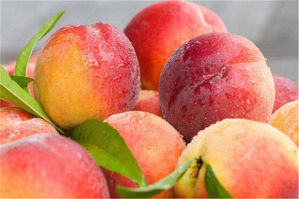 桃子的熱量高嗎 一般來說桃子的熱量不高 桃子的熱量高嗎 一般來說桃子的熱量不高