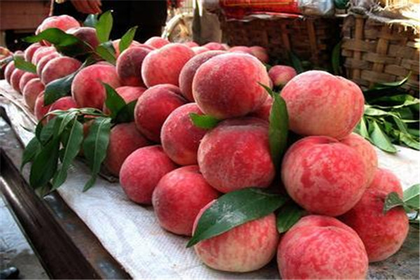 桃子是不是發(fā)物 桃子吃了會上火嗎 桃子是不是發(fā)物 桃子吃了會上火嗎