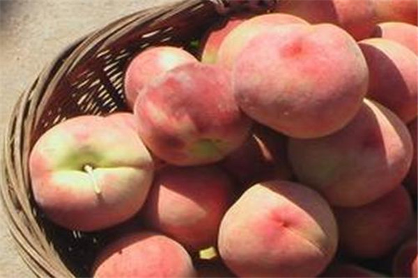 桃子是不是上火的 桃子是上火的食物嗎 桃子是不是上火的 桃子是上火的食物嗎