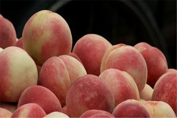 桃子的核能種嗎 桃子的核怎么種 桃子的核能種嗎 桃子的核怎么種