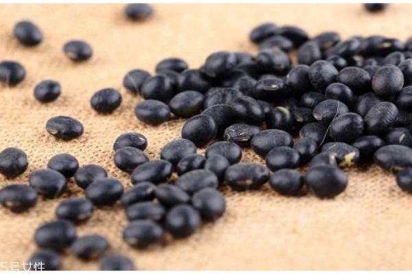 什么是黑豆呢 黑豆有什么營養(yǎng)價(jià)值呢 什么是黑豆呢 黑豆有什么營養(yǎng)價(jià)值呢