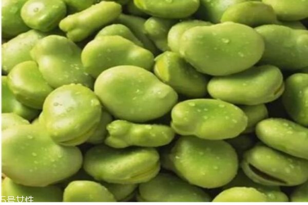 蠶豆有什么營養(yǎng)價(jià)值呢 蠶豆的熱量有多少呢 蠶豆有什么營養(yǎng)價(jià)值呢 蠶豆的熱量有多少呢