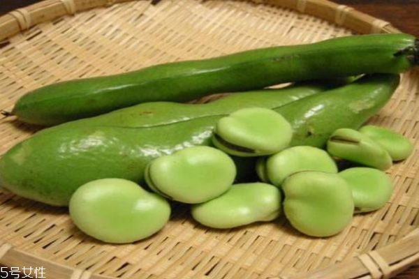 蠶豆有什么營養(yǎng)價(jià)值呢 蠶豆的熱量有多少呢 蠶豆有什么營養(yǎng)價(jià)值呢 蠶豆的熱量有多少呢