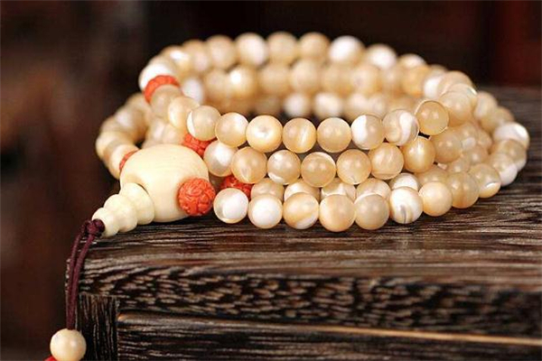 金絲硨磲好還是白硨磲好 金絲硨磲和白硨磲的區(qū)別 金絲硨磲好還是白硨磲好 金絲硨磲和白硨磲的區(qū)別