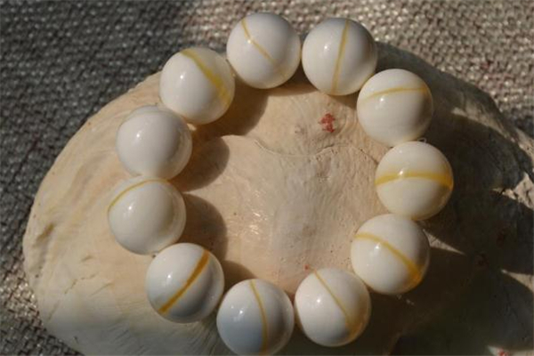 金絲硨磲是天然的嗎 金絲硨磲是玉化的嗎 金絲硨磲是天然的嗎 金絲硨磲是玉化的嗎