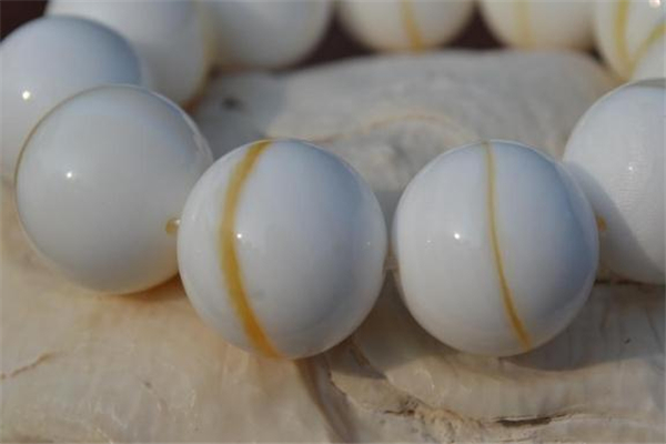 金絲硨磲是天然的嗎 金絲硨磲是玉化的嗎 金絲硨磲是天然的嗎 金絲硨磲是玉化的嗎