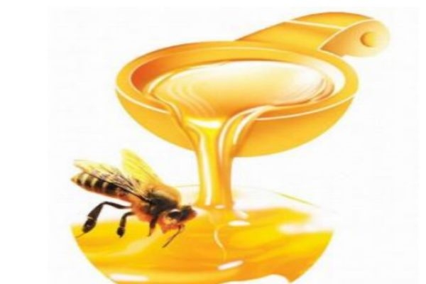百花蜜是怎么來(lái)的呢 百花蜜比較好的品牌有什么呢 百花蜜是怎么來(lái)的呢 百花蜜比較好的品牌有什么呢