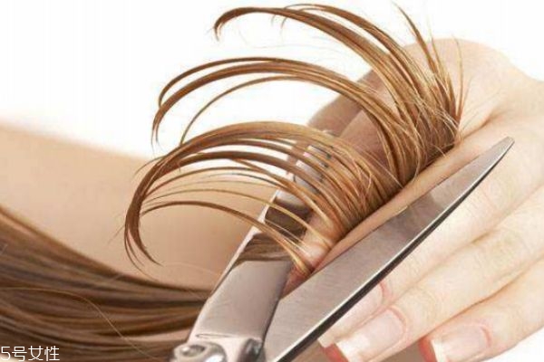經(jīng)常剪頭發(fā)有什么好處 長(zhǎng)時(shí)間不剪頭發(fā)有什么危害 經(jīng)常剪頭發(fā)有什么好處 長(zhǎng)時(shí)間不剪頭發(fā)有什么危害