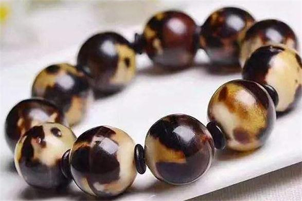 玳瑁什么顏色是上品 玳瑁什么顏色最好 玳瑁什么顏色是上品 玳瑁什么顏色最好
