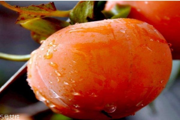 柿子的熱量高嗎 柿子的熱量有多少呢 柿子的熱量高嗎 柿子的熱量有多少呢