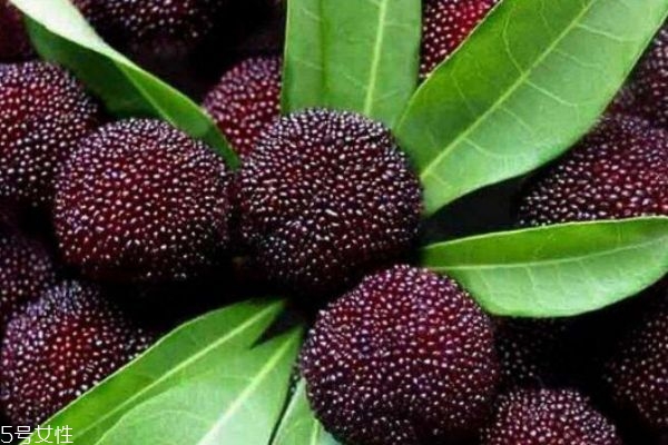 楊梅有什么營養(yǎng)價(jià)值呢 吃楊梅有什么好處呢