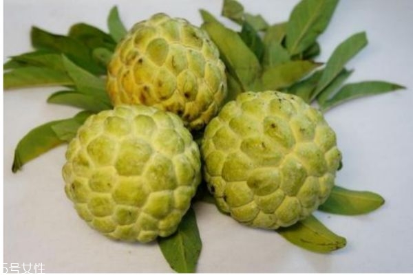 釋迦果有什么營養(yǎng)價值呢 吃釋迦果有什么好處呢 釋迦果有什么營養(yǎng)價值呢 吃釋迦果有什么好處呢