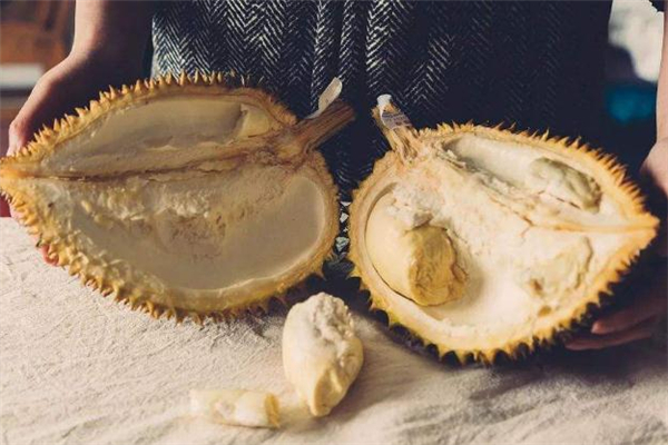 榴蓮殼上的白肉能吃嗎 榴蓮殼上的白肉取法 榴蓮殼上的白肉能吃嗎 榴蓮殼上的白肉取法