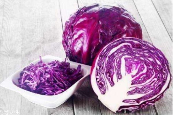 紫甘藍(lán)有什么營(yíng)養(yǎng)價(jià)值呢 紫甘藍(lán)的生長(zhǎng)環(huán)境怎么樣呢 紫甘藍(lán)有什么營(yíng)養(yǎng)價(jià)值呢 紫甘藍(lán)的生長(zhǎng)環(huán)境怎么樣呢