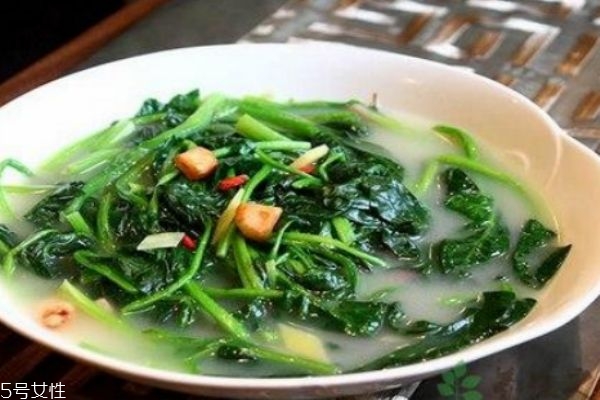 菠菜生長在什么環(huán)境中呢 菠菜多少錢一斤呢 菠菜生長在什么環(huán)境中呢 菠菜多少錢一斤呢