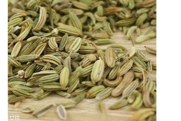 什么是小茴香呢 小茴香有什么營(yíng)養(yǎng)價(jià)值呢 