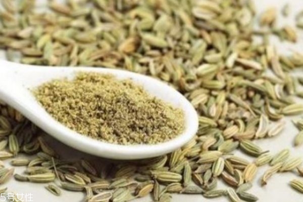 小茴香的功效有什么呢 小茴香有什么禁忌嗎 小茴香的功效有什么呢 小茴香有什么禁忌嗎