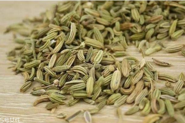 小茴香的功效有什么呢 小茴香有什么禁忌嗎 小茴香的功效有什么呢 小茴香有什么禁忌嗎