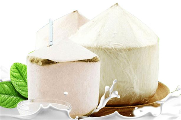 椰子汁為什么那么難喝 椰子汁怎么喝好喝 椰子汁為什么那么難喝 椰子汁怎么喝好喝