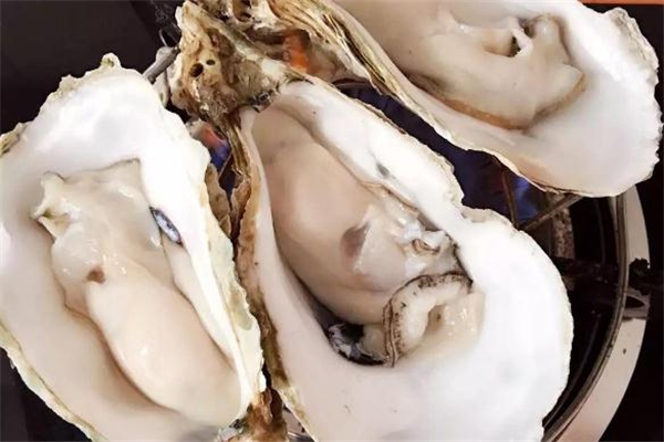 生蠔冷凍還是冷藏 帶殼的生蠔冷藏可以保存多久 生蠔冷凍還是冷藏 帶殼的生蠔冷藏可以保存多久
