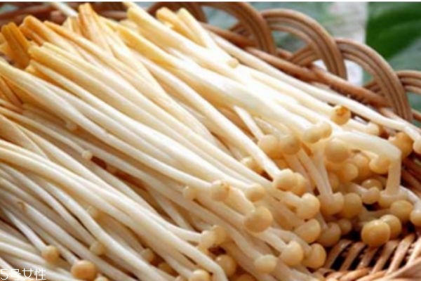 金針菇有什么營(yíng)養(yǎng)價(jià)值呢 金針菇生長(zhǎng)在什么環(huán)境下呢 金針菇有什么營(yíng)養(yǎng)價(jià)值呢 金針菇生長(zhǎng)在什么環(huán)境下呢